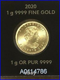 PAMP Suisse 3.5G+ IAR 2G+Canadian Mint 1G(Total6.5 Gram)